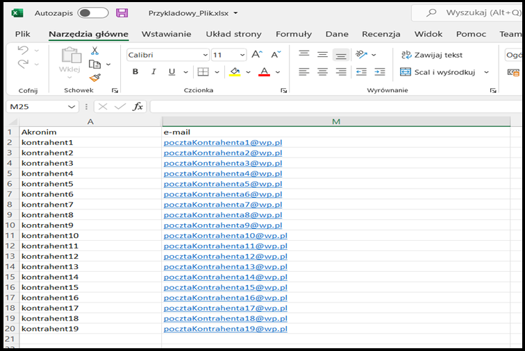 Dane w arkuszu Excel do importu ERP XL 